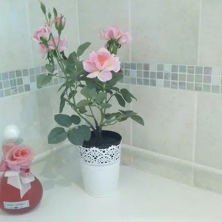 Homestay Villetta Le Rondini