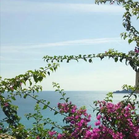 Homestay Villetta Le Rondini Zoagli