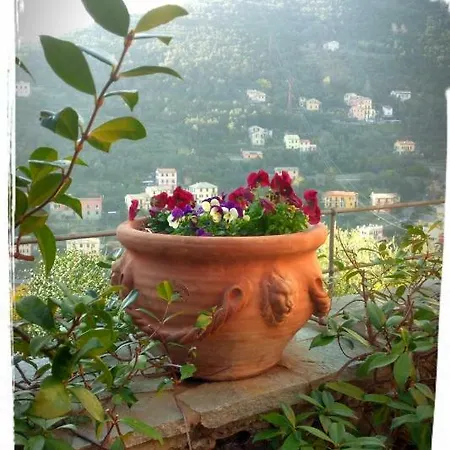 Villetta Le Rondini Privatunterkunft *